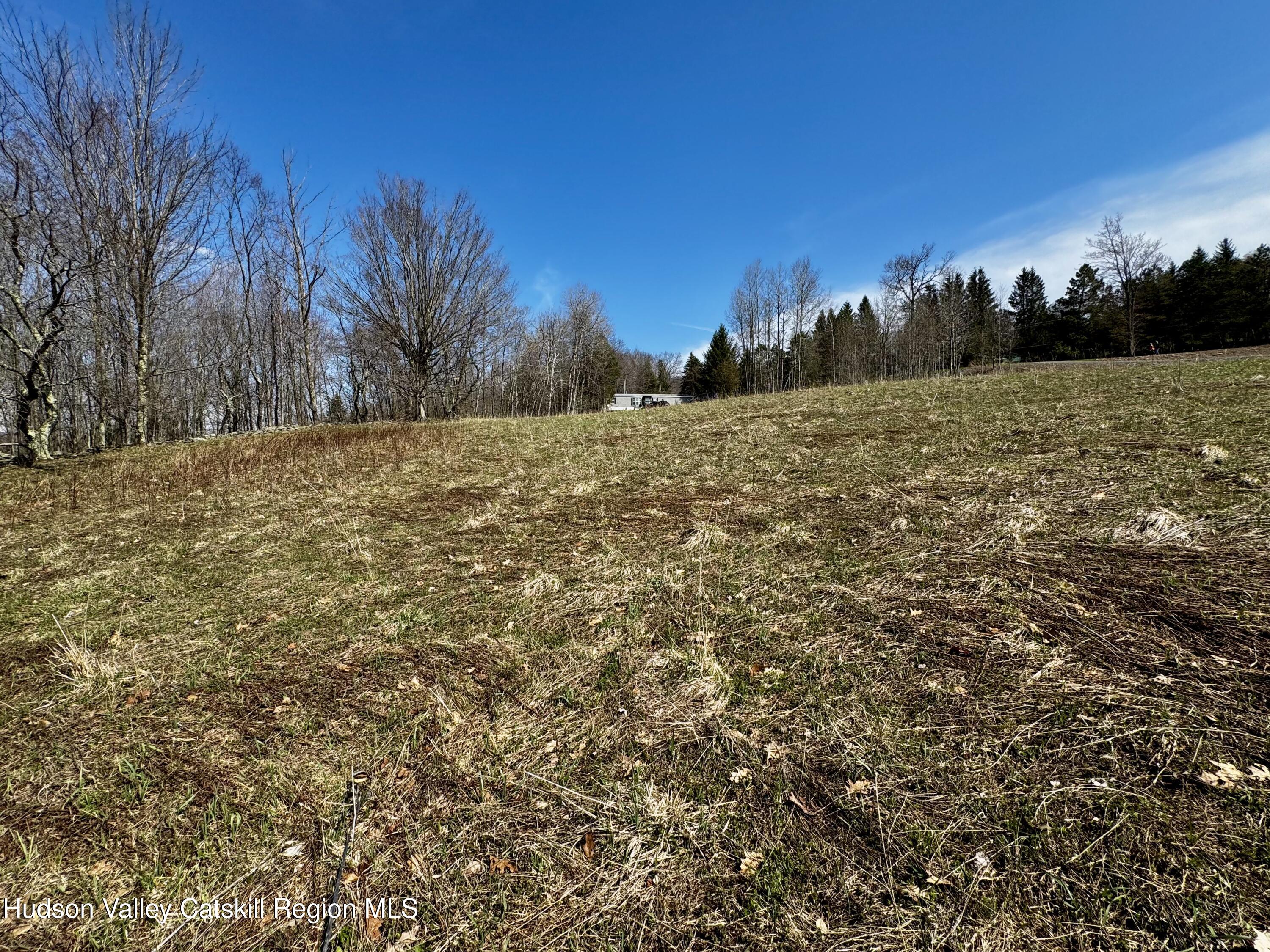 Tbd Hogg Mountain Road Fleischmanns, NY 12430 - Photo 19 of 22 #19