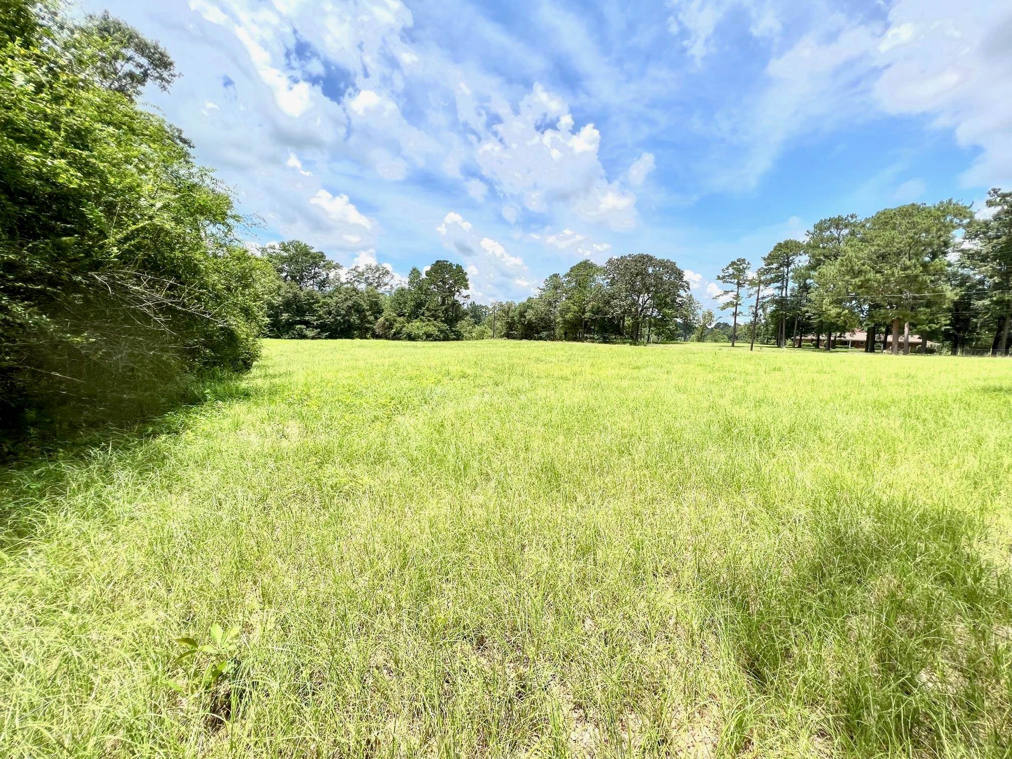 0 Ellis Griggs Road Andalusia, AL 36420 - Photo 5 of 10 Gallery Image 5