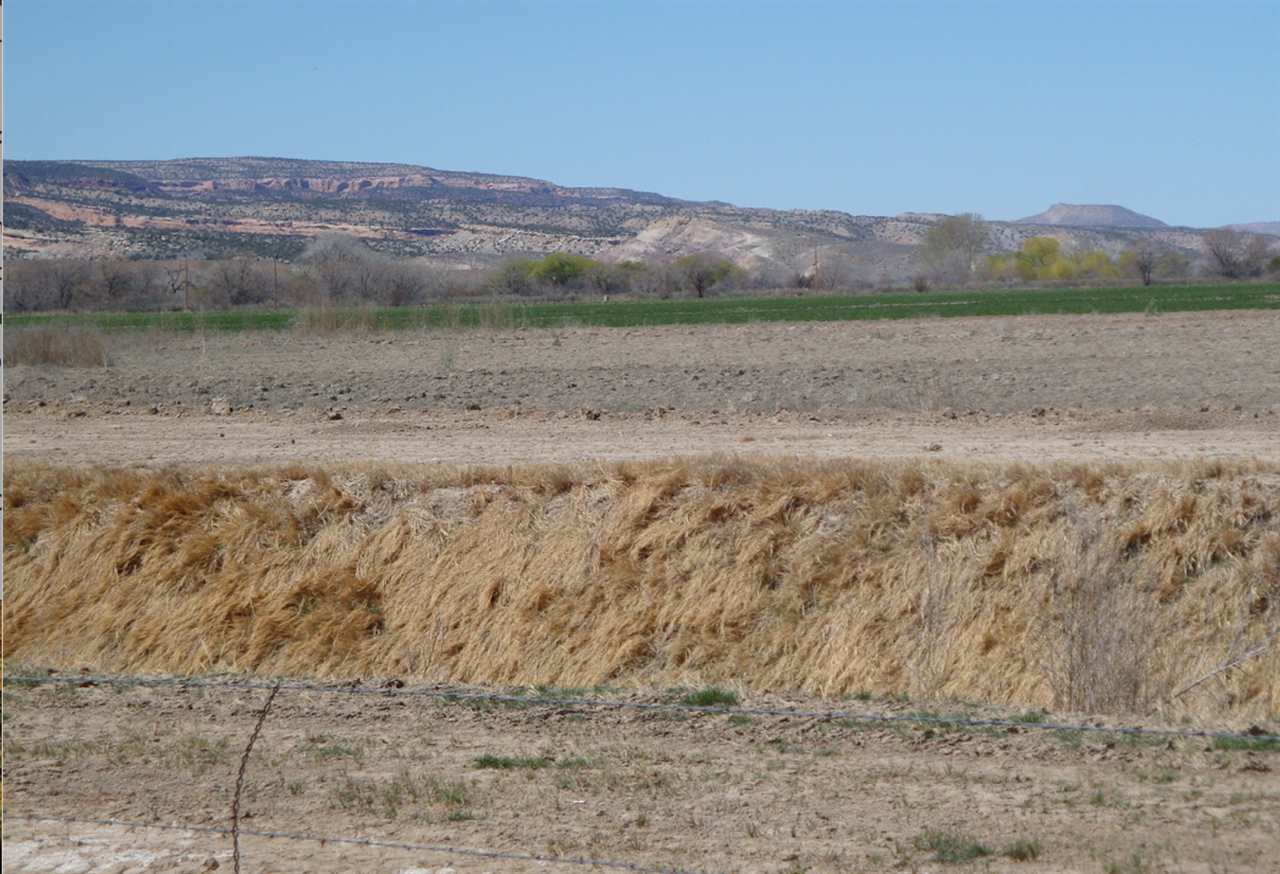 849 River Ranch Court Fruita, CO 81521 - Photo 2 of 4