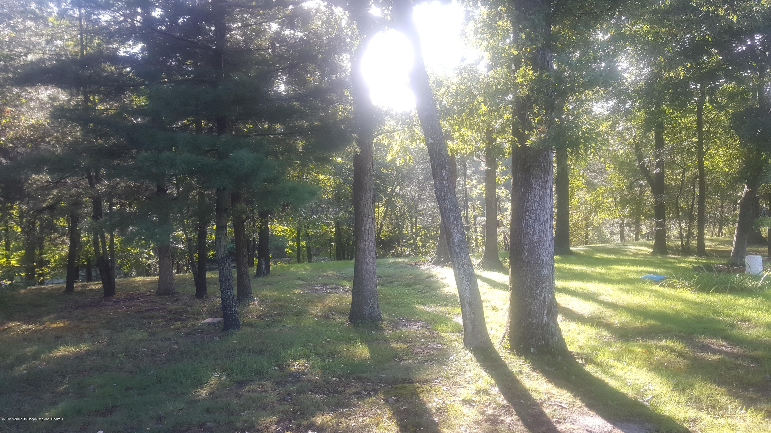 33 Blue Ridge Drive Brick, NJ 08724 - Photo 21 of 32 Morning Sun