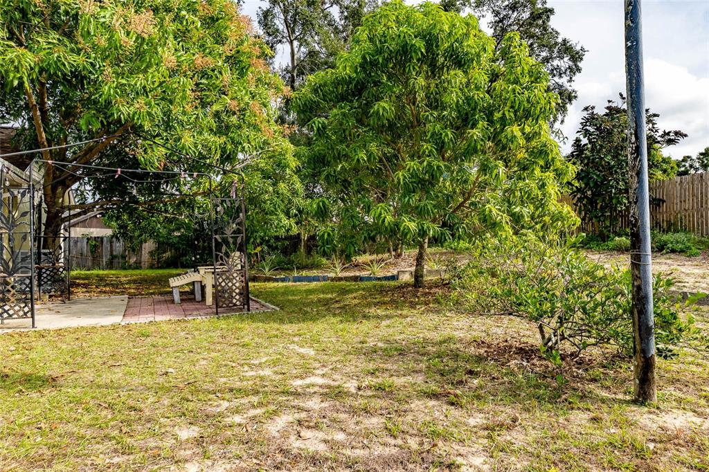 2903 Silver Ridge Drive Orlando, FL 32818 - Photo 25 of 27 a view of a yard with swimming pool