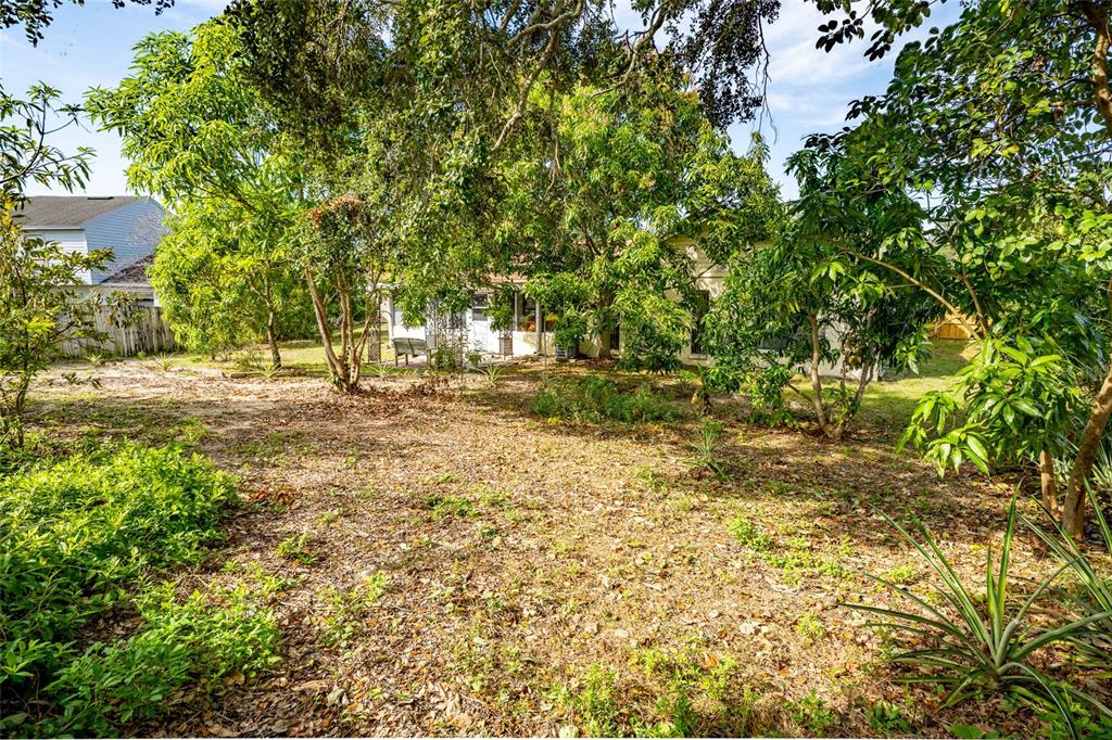 2903 Silver Ridge Drive Orlando, FL 32818 - Photo 27 of 27 a view of a yard with plants and trees