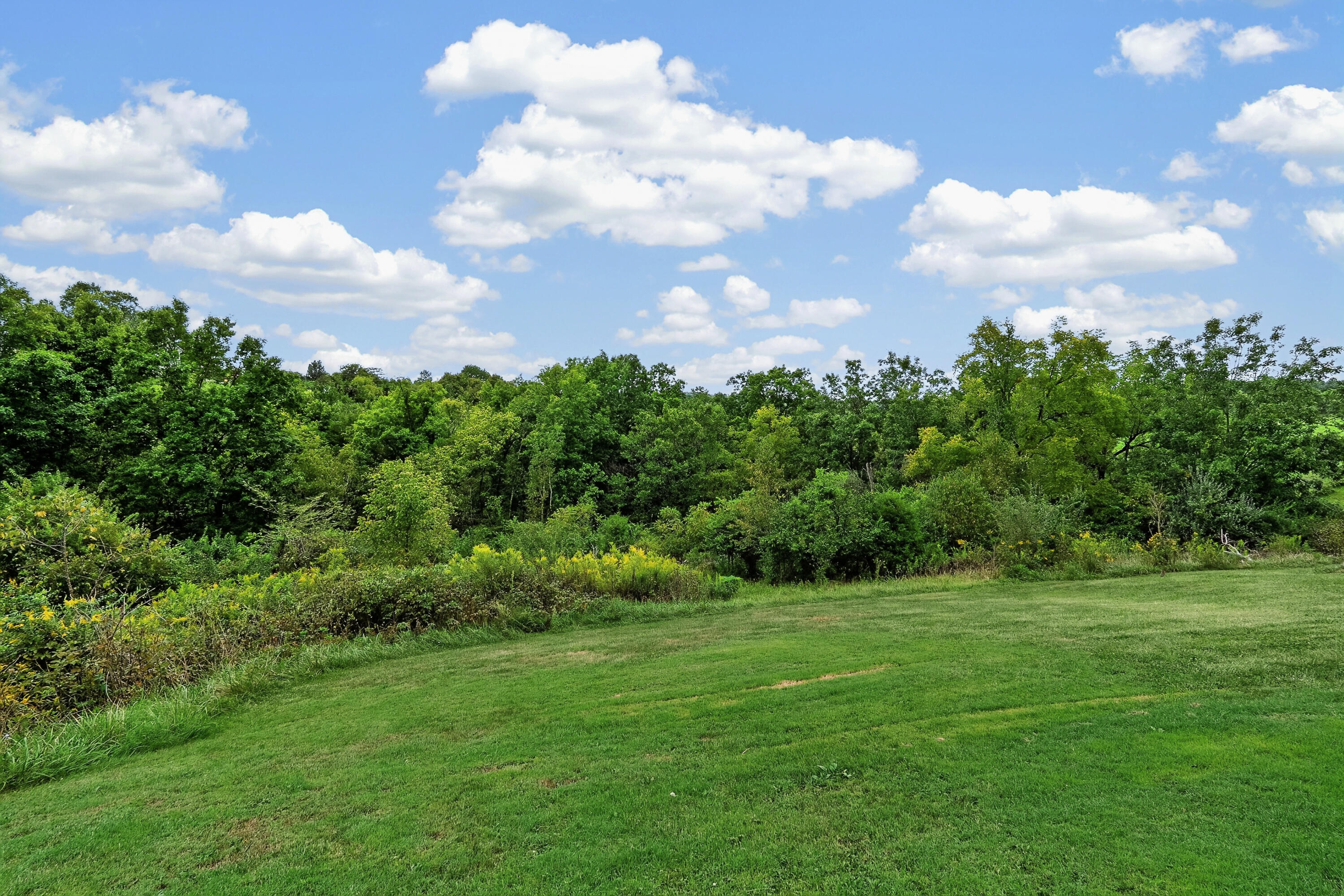 341 Fairview Road Williamstown, KY 41097 - Photo 36 of 40 Fairview-15
