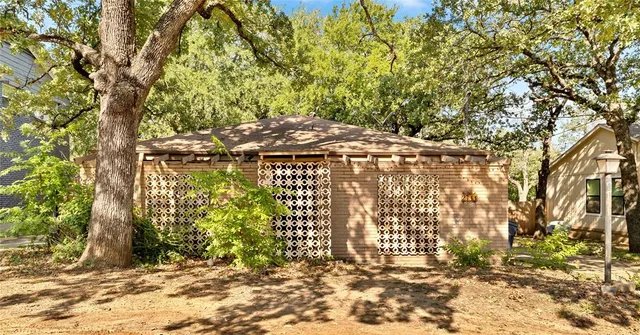 a view of a yard with plants and trees