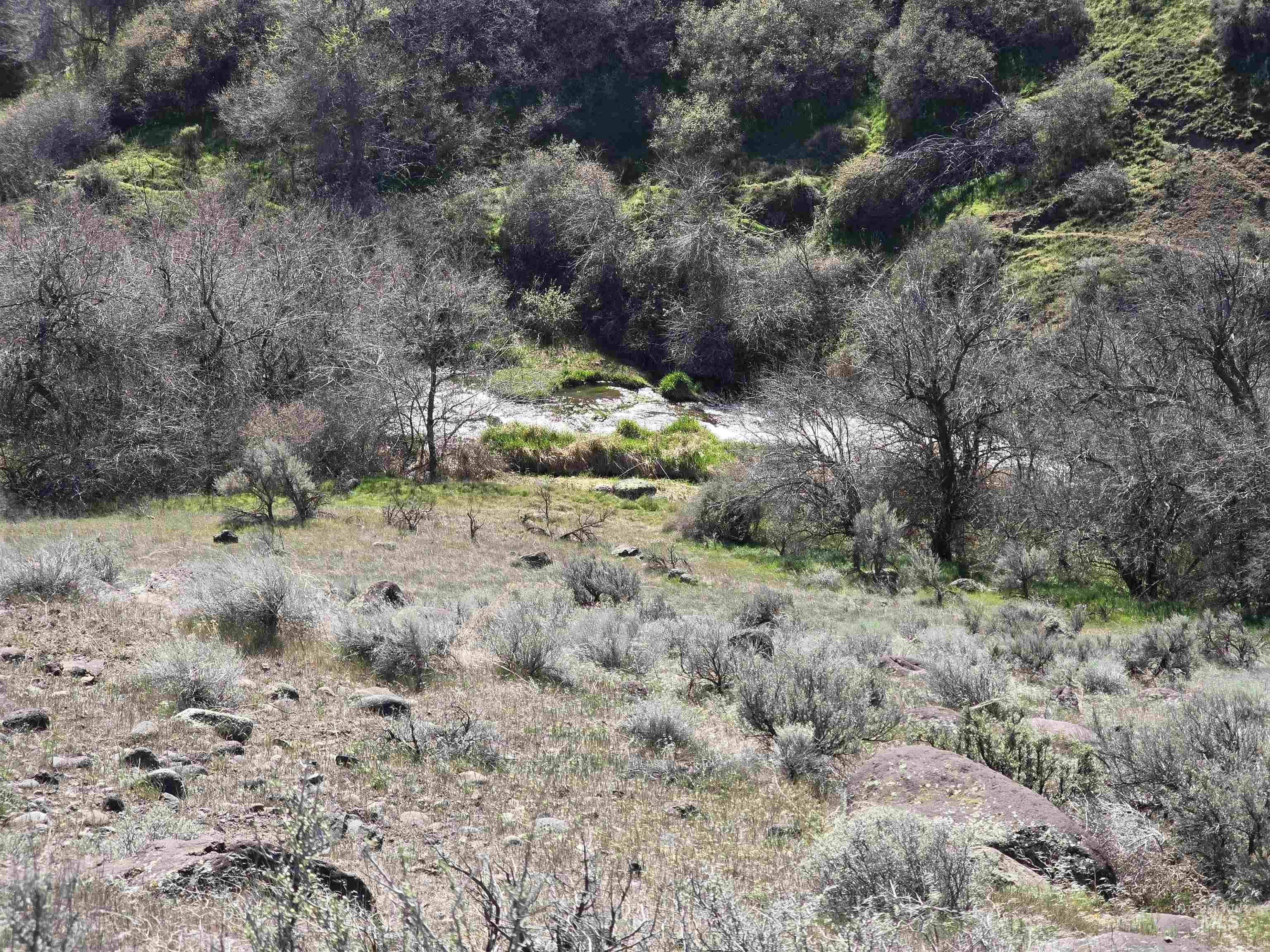 1253 Kanaka Rapids Road Buhl, ID 83316 - Photo 3 of 15