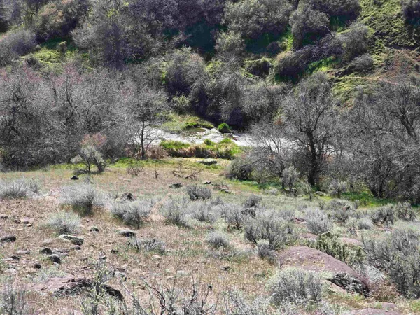 $375,000 | 1253 Kanaka Rapids Road, Buhl, ID 83316
