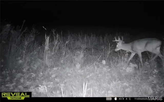 $450,000 | 9647 North Elmhears Lane, Mount Vernon, IL 62864