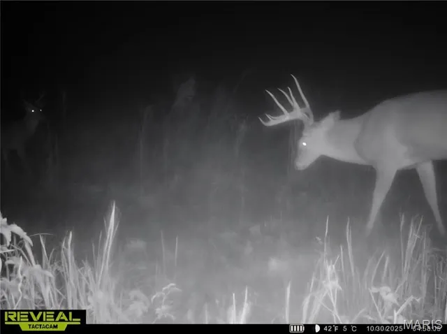 $450,000 | 9647 North Elmhears Lane, Mount Vernon, IL 62864