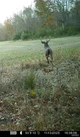 $450,000 | 9647 North Elmhears Lane, Mount Vernon, IL 62864