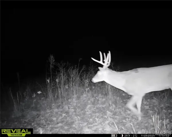 $450,000 | 9647 North Elmhears Lane, Mount Vernon, IL 62864