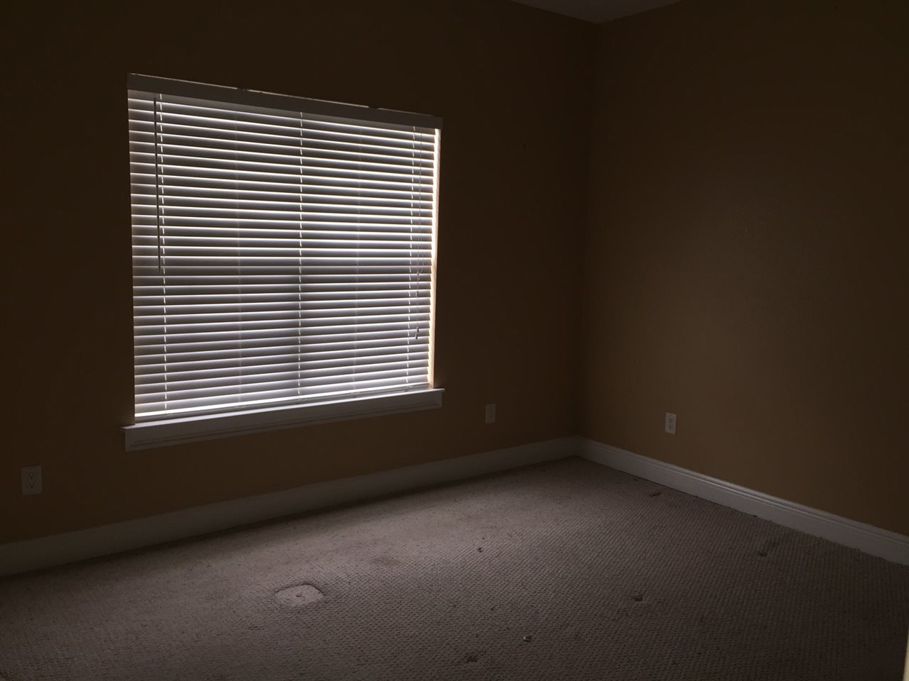 1315 Selman Road Quincy, FL 32351 - Photo 18 of 28 Gallery Image 18