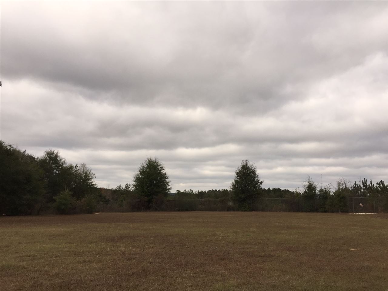 1315 Selman Road Quincy, FL 32351 - Photo 9 of 28 Gallery Image 9