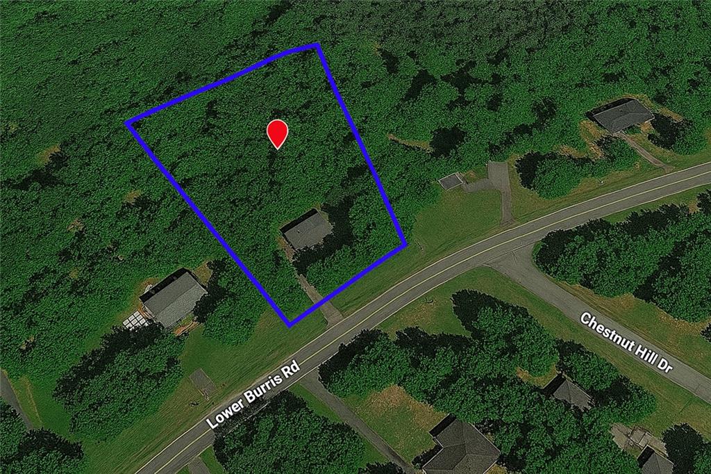 435 Lower Burris Road Canton, GA 30114 - Photo 14 of 15
