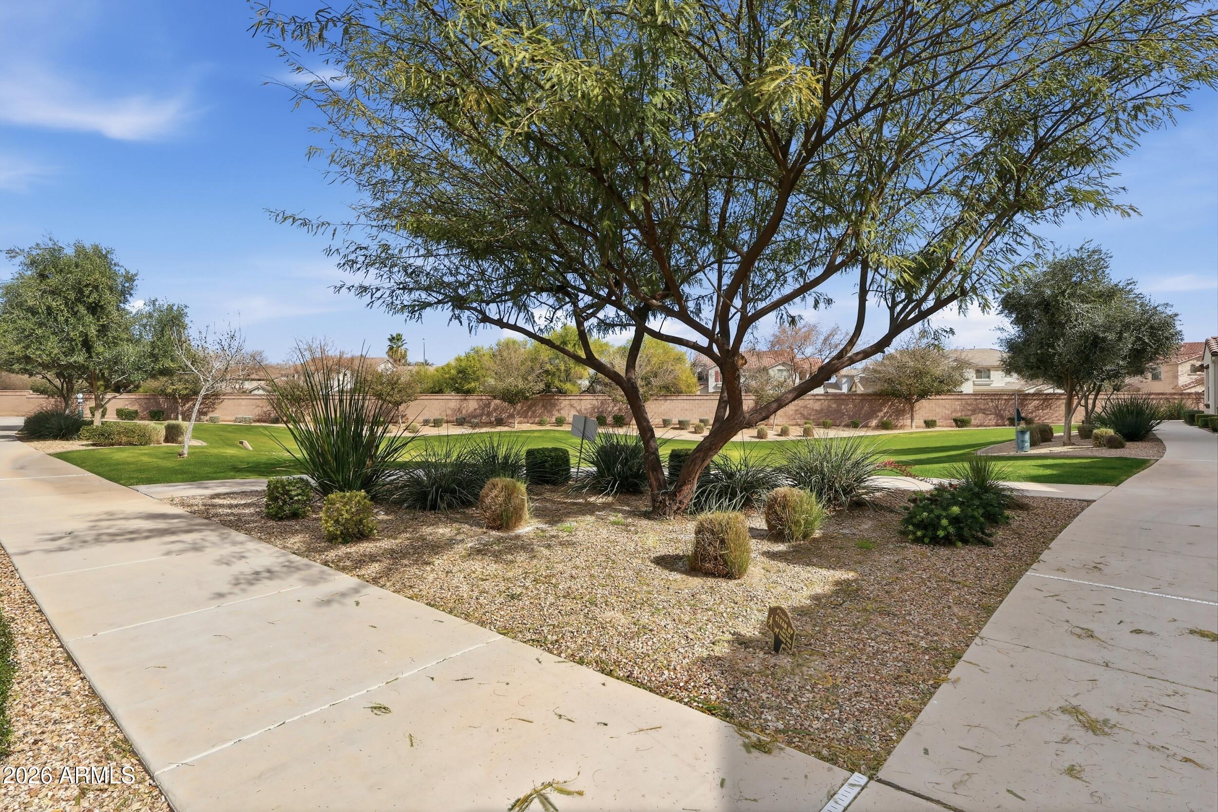 3855 South McQueen Road, Unit 34 Chandler, AZ 85286 - Photo 37 of 48 a view of a yard with plants and trees