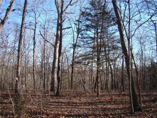 $30,000 | Gore Road, Lincoln, MO 65338