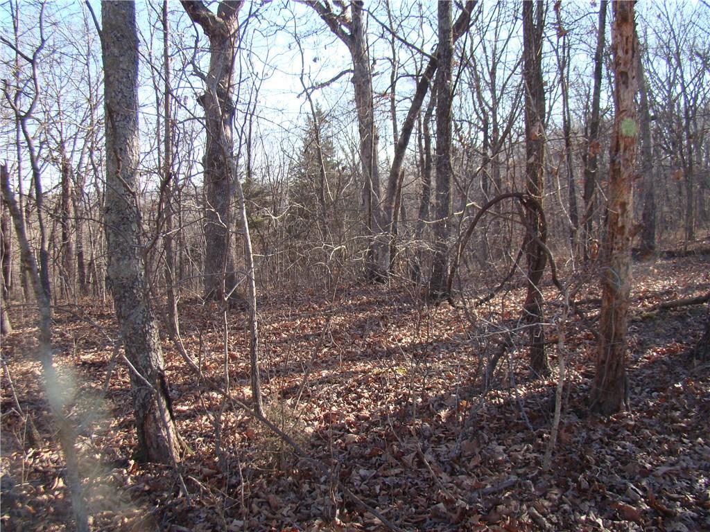 Gore Road Lincoln, MO 65338 - Photo 2 of 5