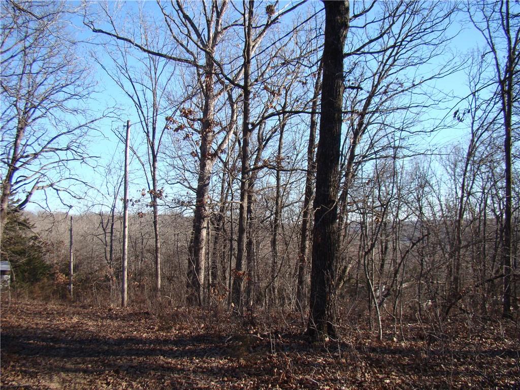 Gore Road Lincoln, MO 65338 - Photo 4 of 5