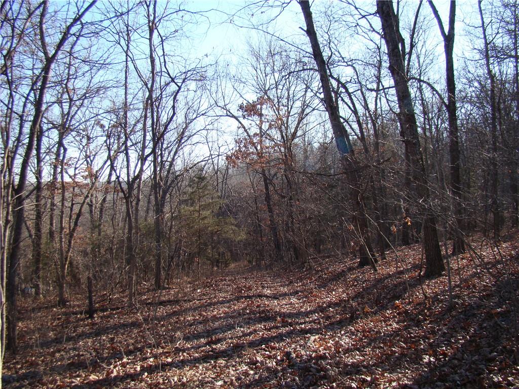 Gore Road Lincoln, MO 65338 - Photo 5 of 5