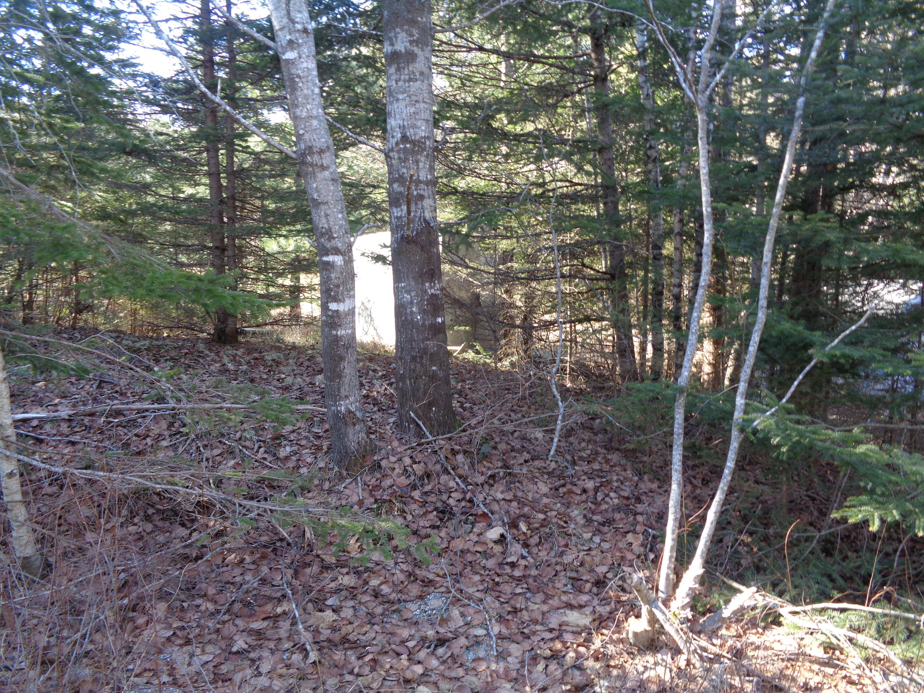 Lot 55 Dority Farm Road Ellsworth, ME 04605 - Photo 9 of 14 Shed on neighboring lot