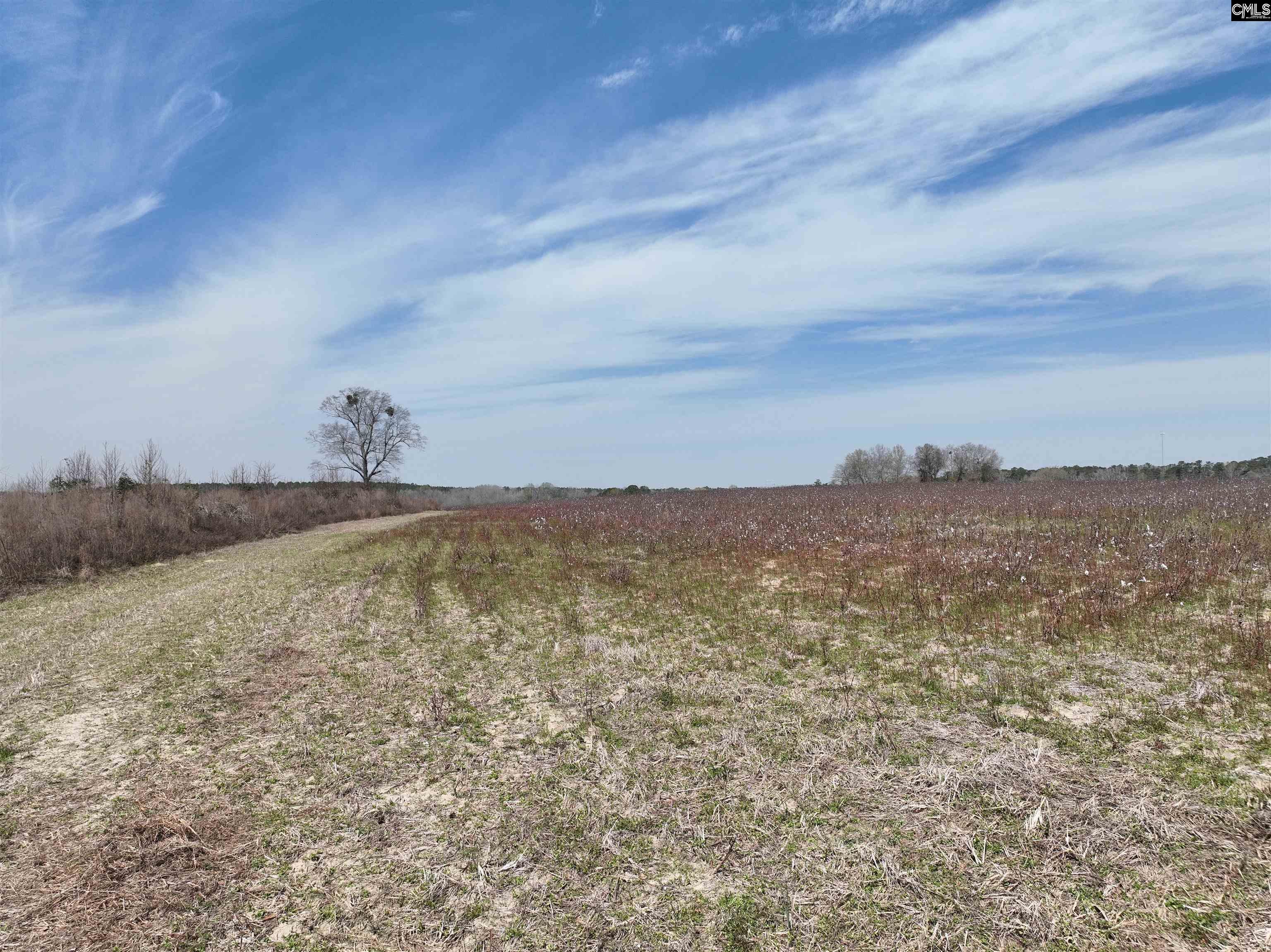 0 Dr Boylston Road Salley, SC 29137 - Photo 10 of 41