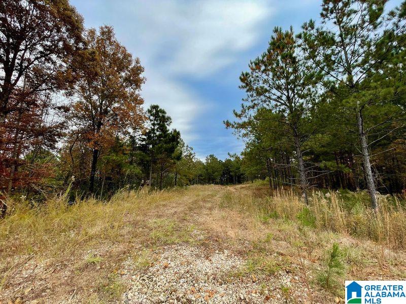 A Sunview Road, Unit 1 Warrior, AL 35180 - Photo 8 of 8