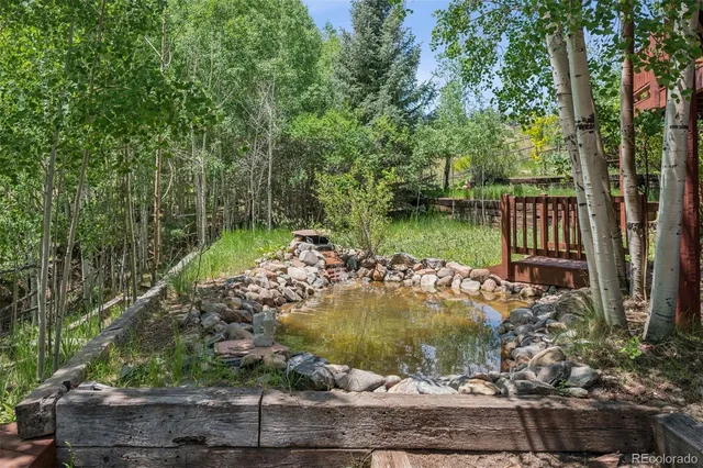 $1,050,000 | 15690 Cochise Trail, Pine, CO 80470
