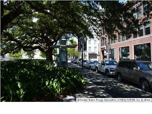 1925 North 3rd Street, Unit 111 Baton Rouge, LA 70802 - Photo 10 of 12