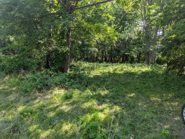 $65,000 | 22118 Keefer Street, Southfield, MI 48033