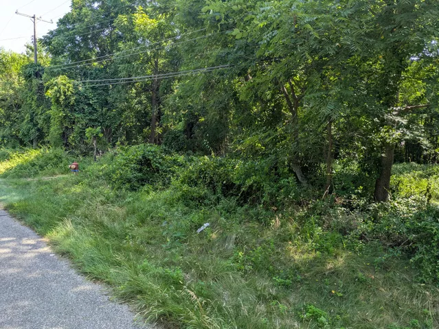 $65,000 | 22118 Keefer Street, Southfield, MI 48033