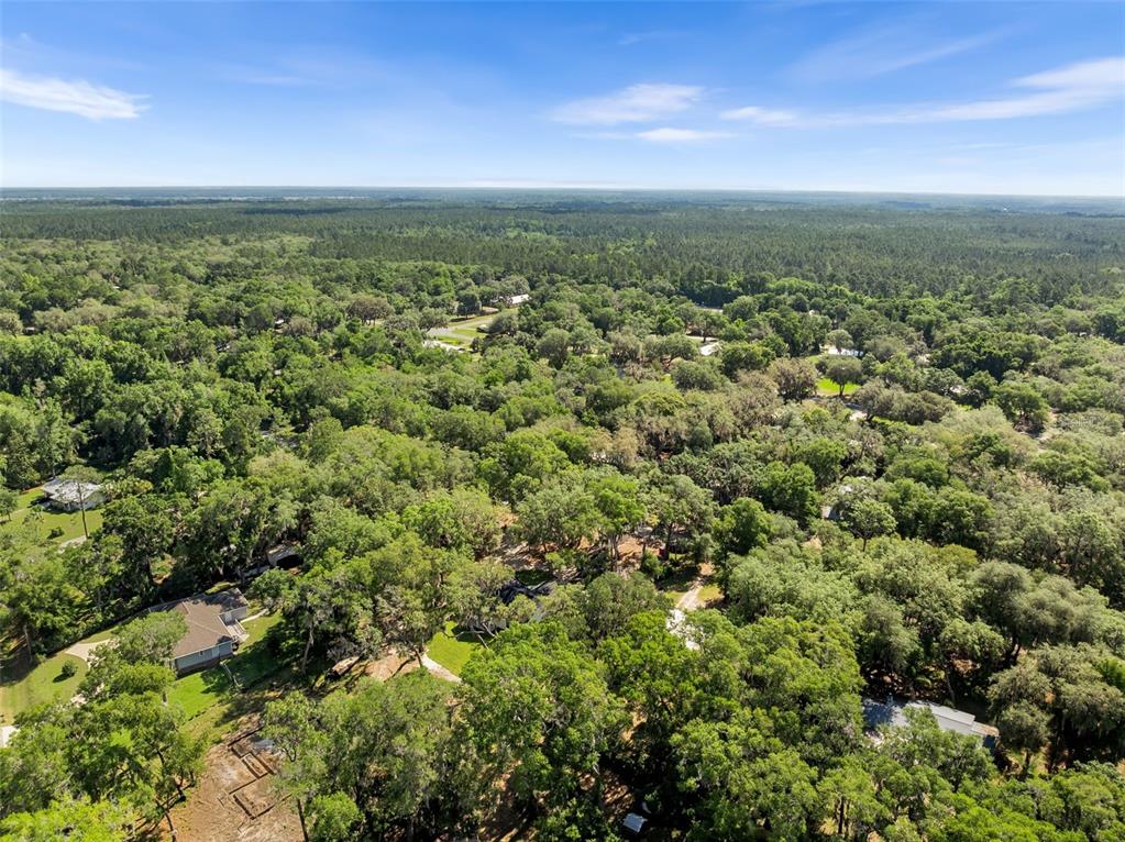 332 Southeast 3rd Avenue Melrose, FL 32666 - Photo 6 of 36 a view of a city with lush green forest