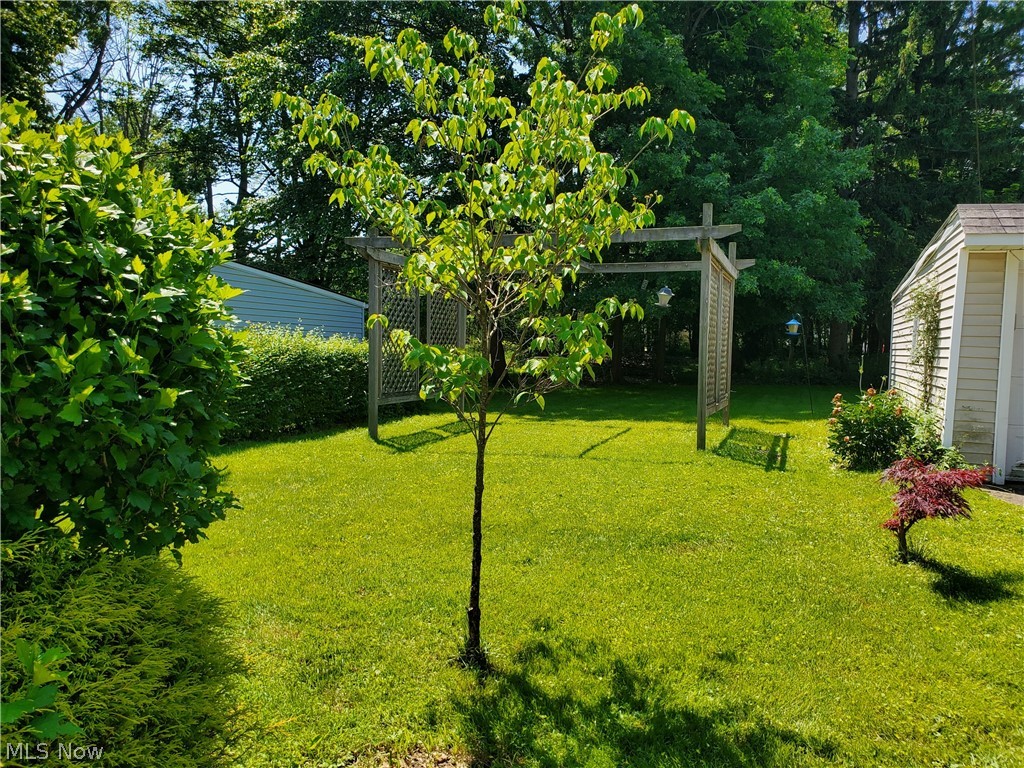 4024 Buxton Road Cleveland, OH 44121 - Photo 23 of 25 Another view of deep back yard.