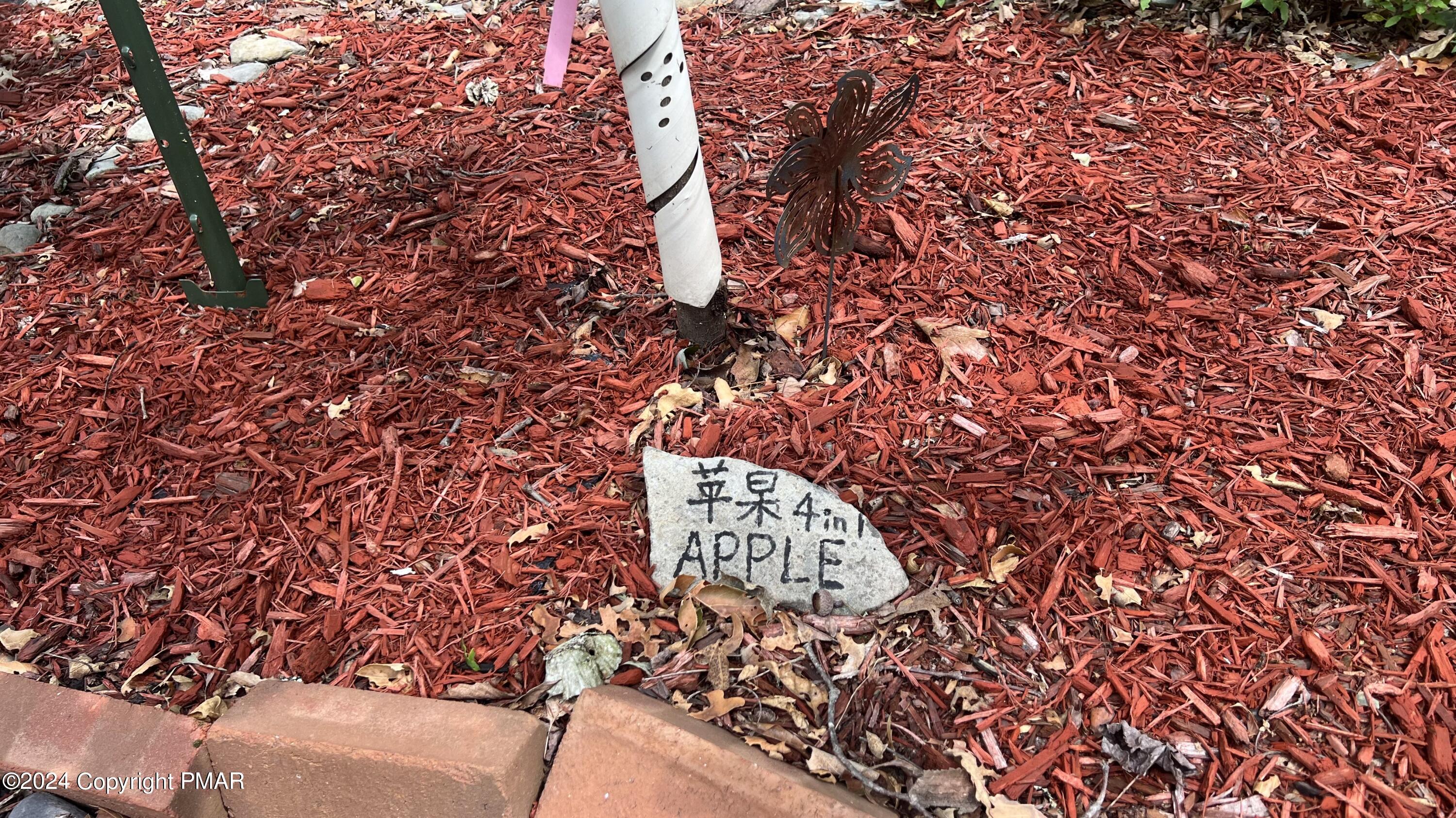 236 Regent Street Bushkill, PA 18324 - Photo 33 of 67 32 - Plant Names