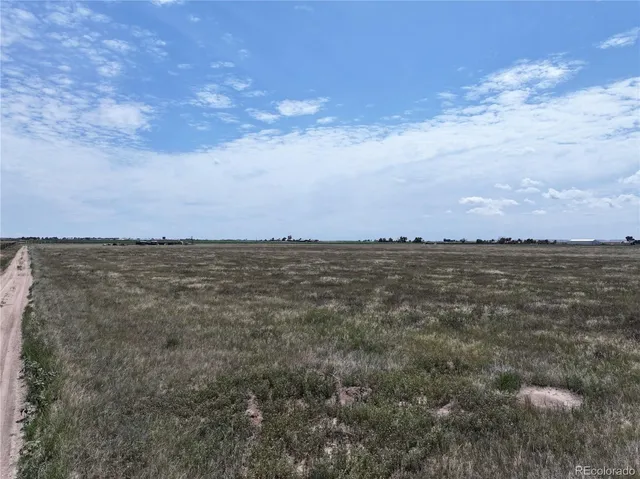 a view of a hardwood