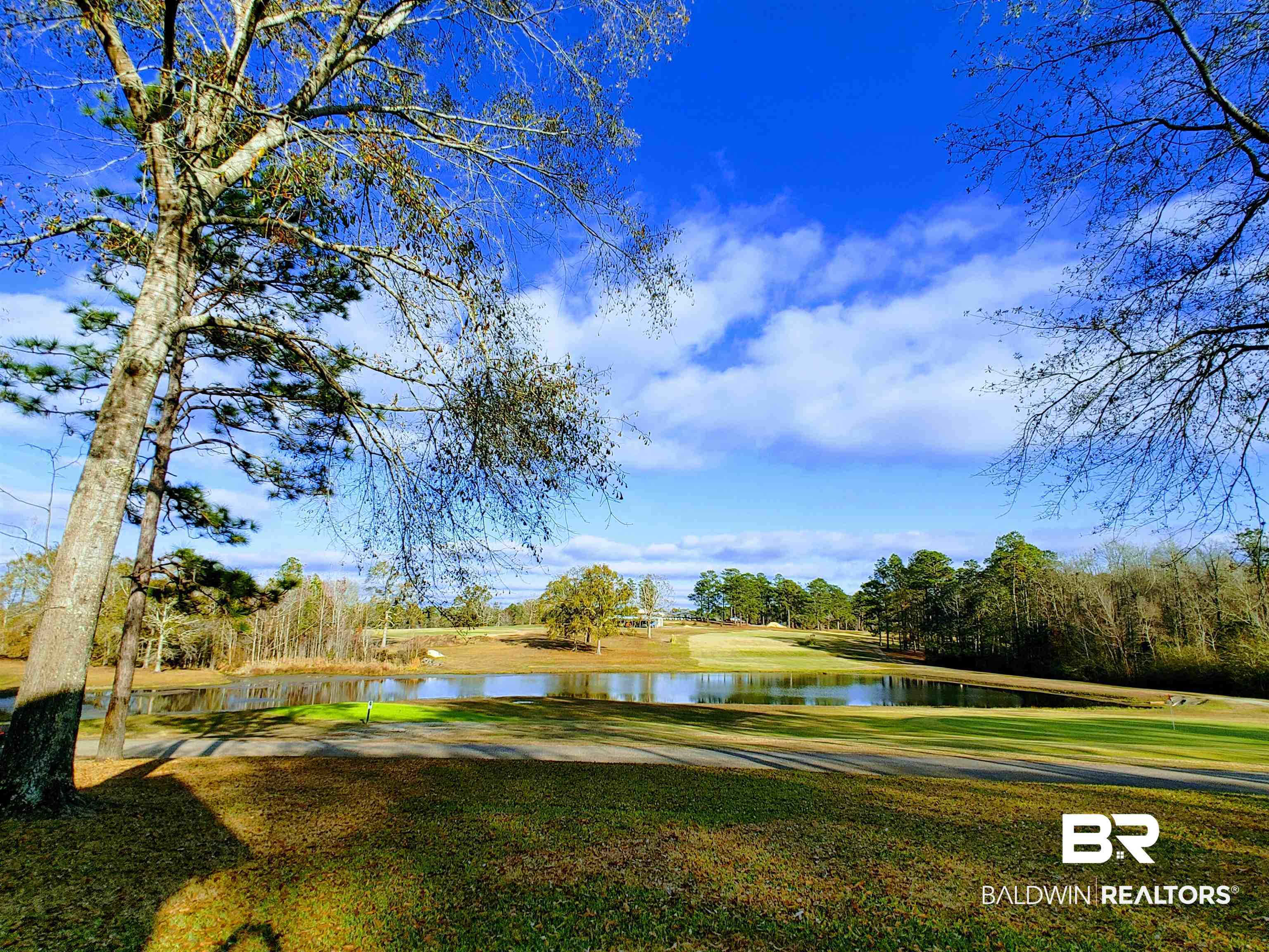 125 Whitetail Run Chatom, AL 36518 - Photo 48 of 49