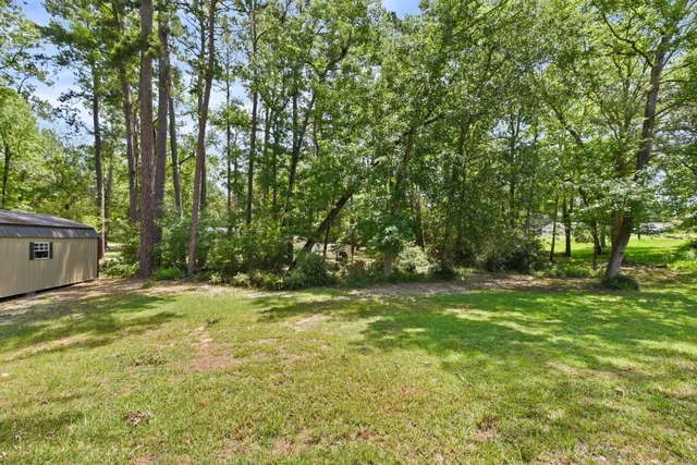 a view of a trees in a yard
