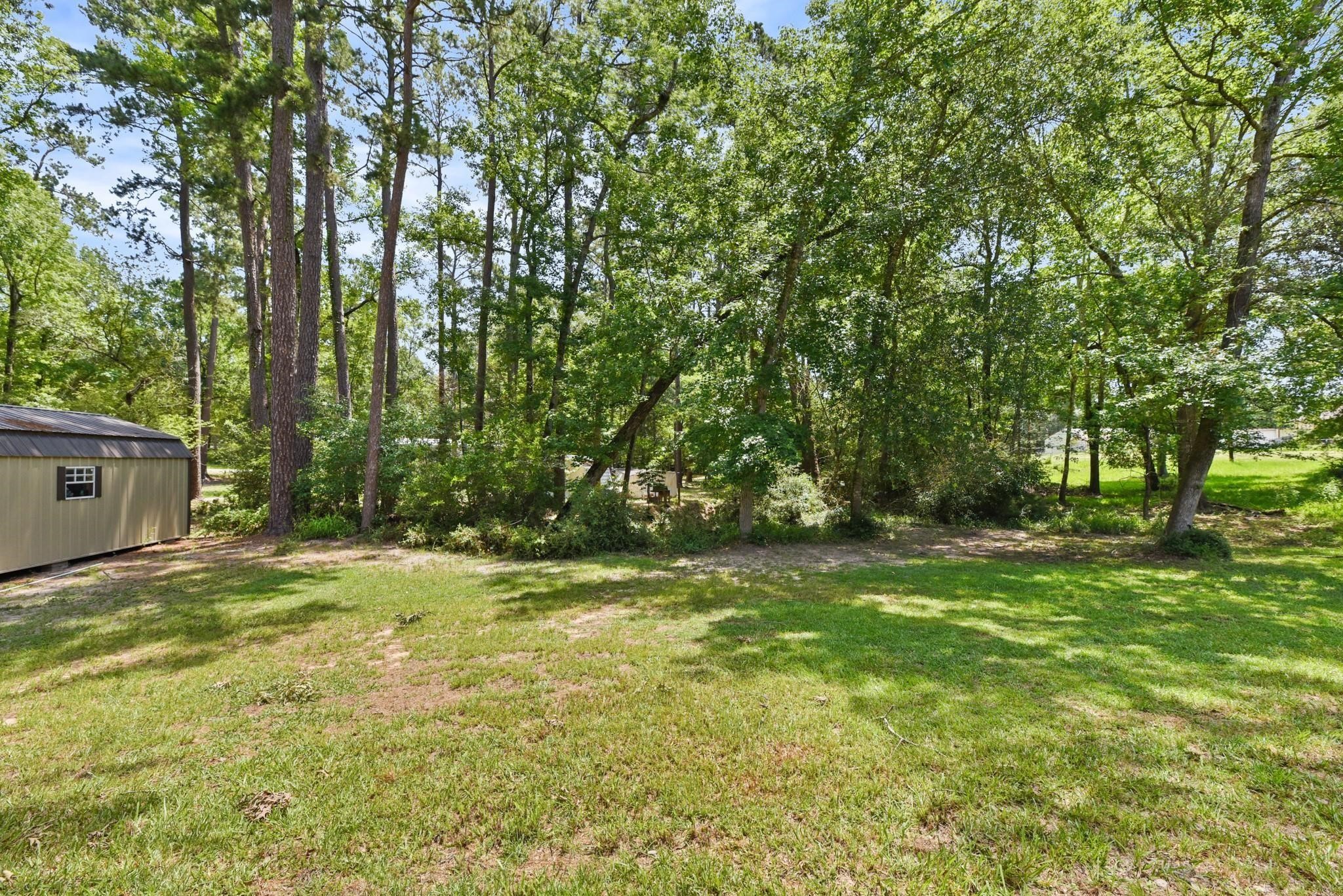 277 Rio Grande Drive Trinity, TX 75862 - Photo 18 of 28 a view of a trees in a yard