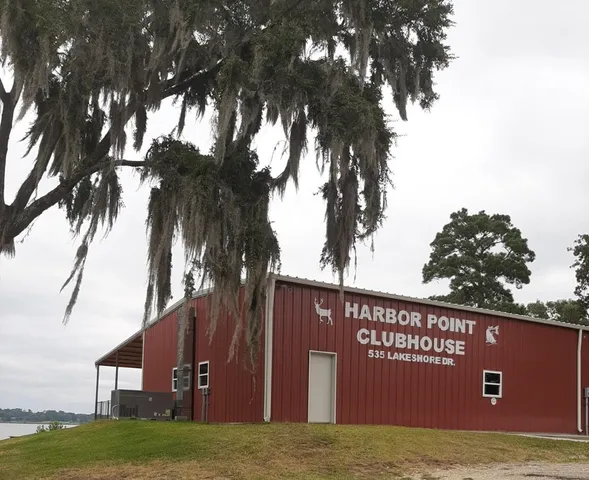 a view of a field with a tree