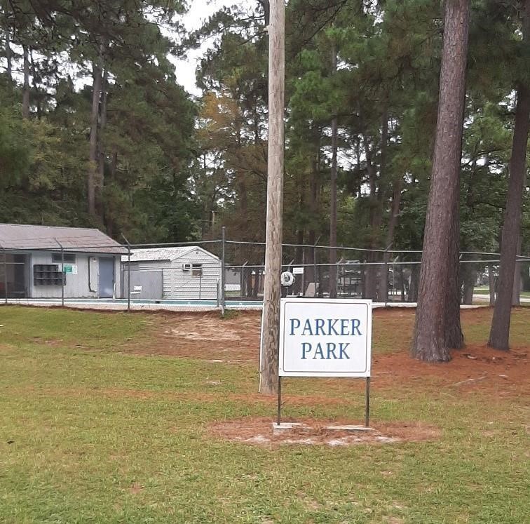 277 Rio Grande Drive Trinity, TX 75862 - Photo 28 of 28 a view of a street with potted plants and large tree