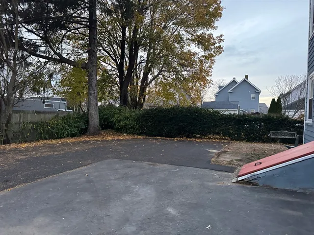 a view of a street with a large trees