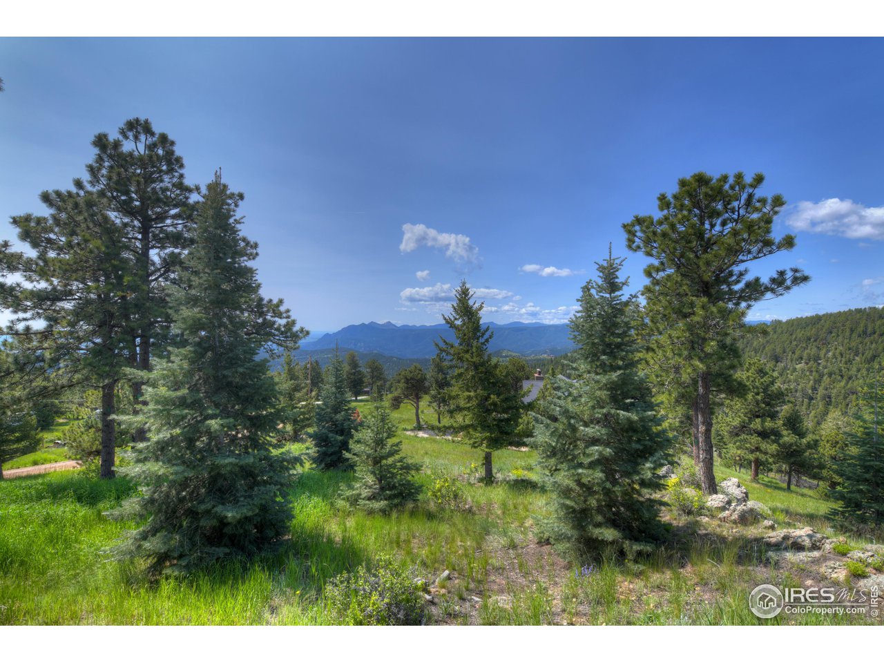 493 Sky Trail Road Boulder, CO 80302 - Photo 36 of 40