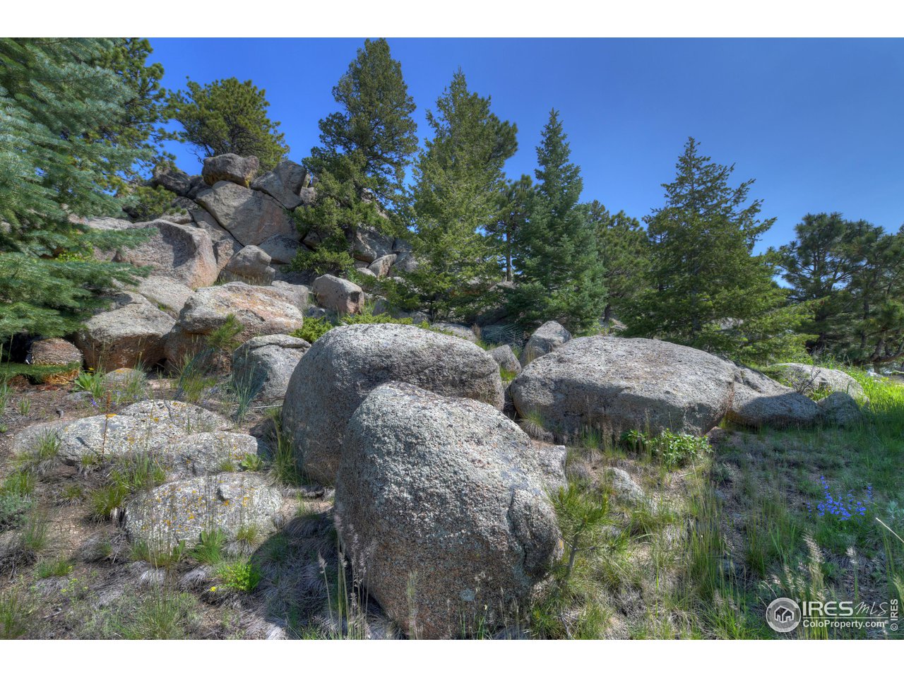 493 Sky Trail Road Boulder, CO 80302 - Photo 37 of 40 a view of a bunch of trees and bushes