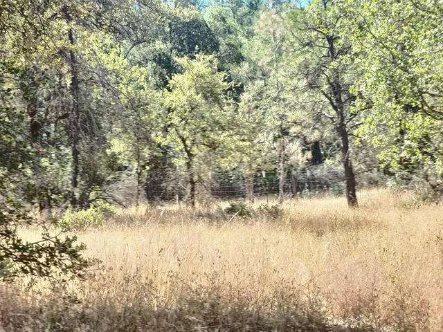 $55,000 | 48 Rices Texas Hill Road, Oregon House, CA 95962