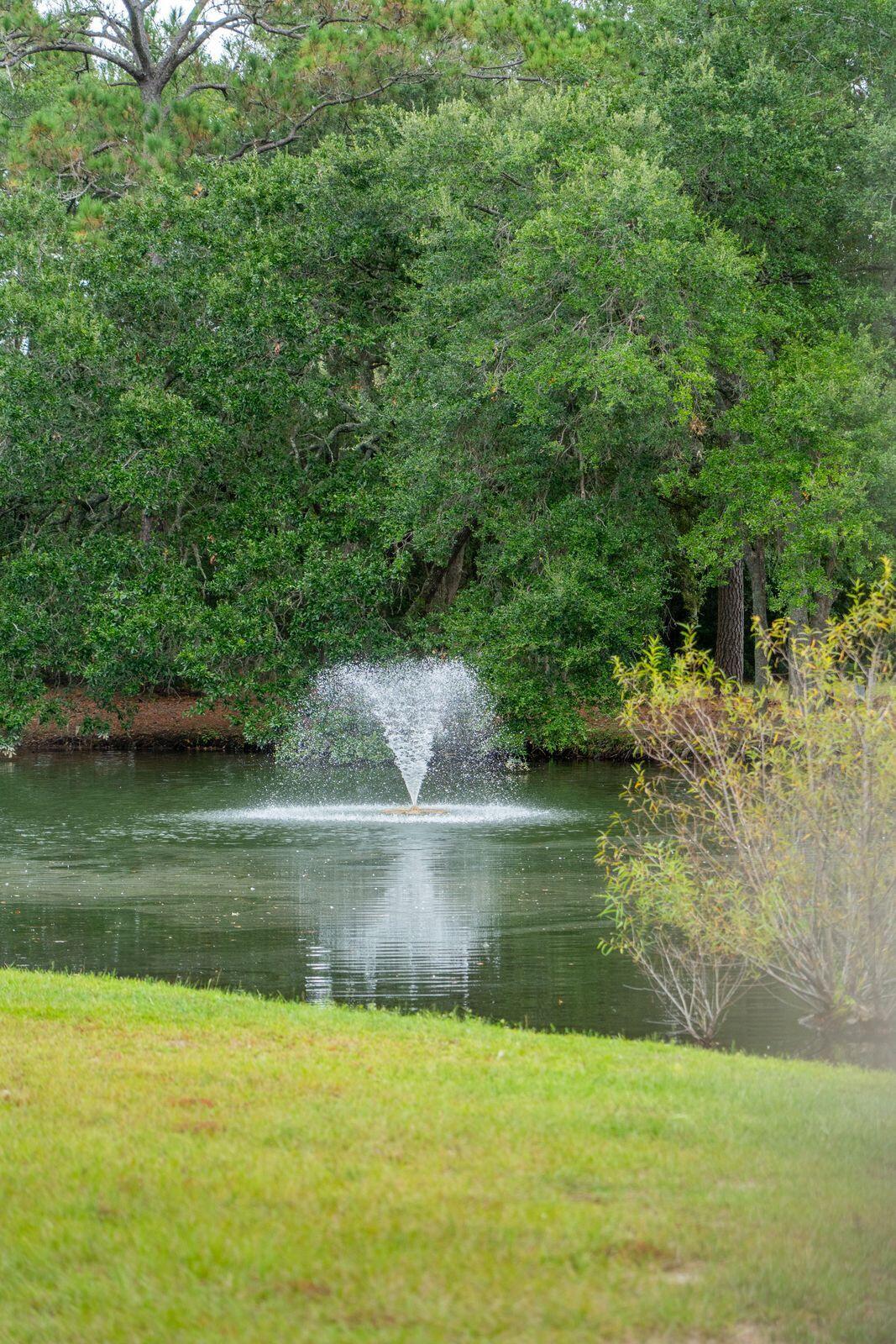 1192 Julian Clark Road Charleston, SC 29412 - Photo 39 of 42 Fountain from Back Deck