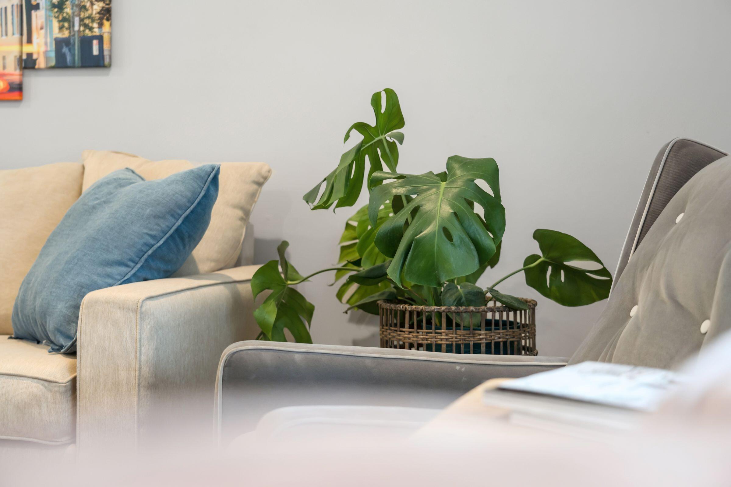 1192 Julian Clark Road Charleston, SC 29412 - Photo 10 of 42 Living Room