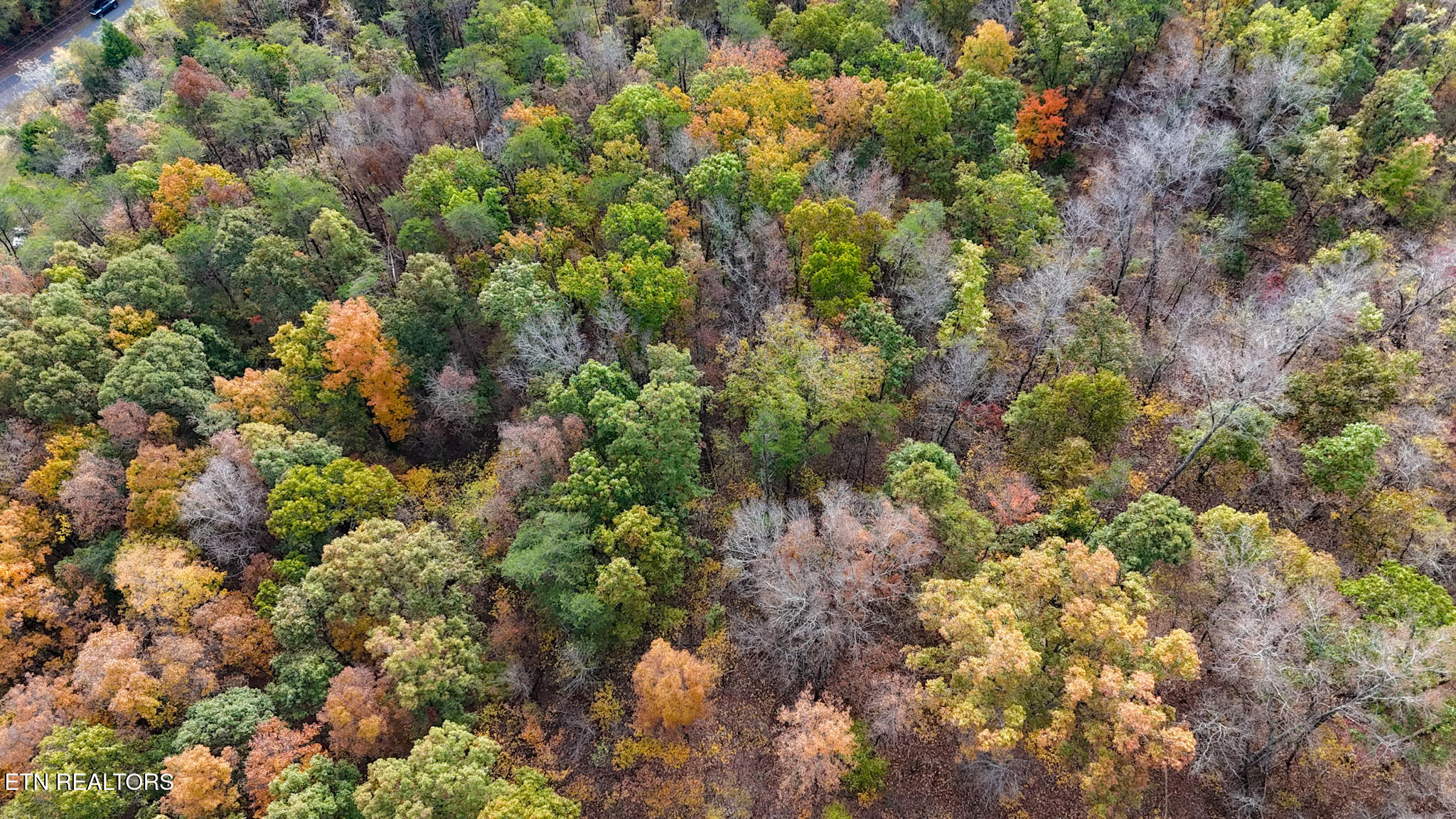 Lot 9 Reed Bull Road New Market, TN 37820 - Photo 16 of 28 dji_fly_20241028_114640_0139_17301350447