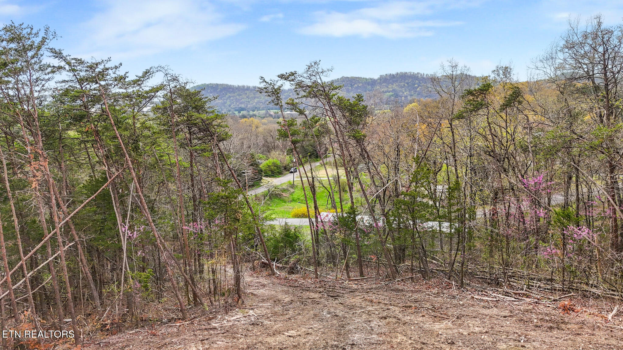 Lot 9 Reed Bull Road New Market, TN 37820 - Photo 2 of 28 dji_fly_20250403_105726_0174_17437021576
