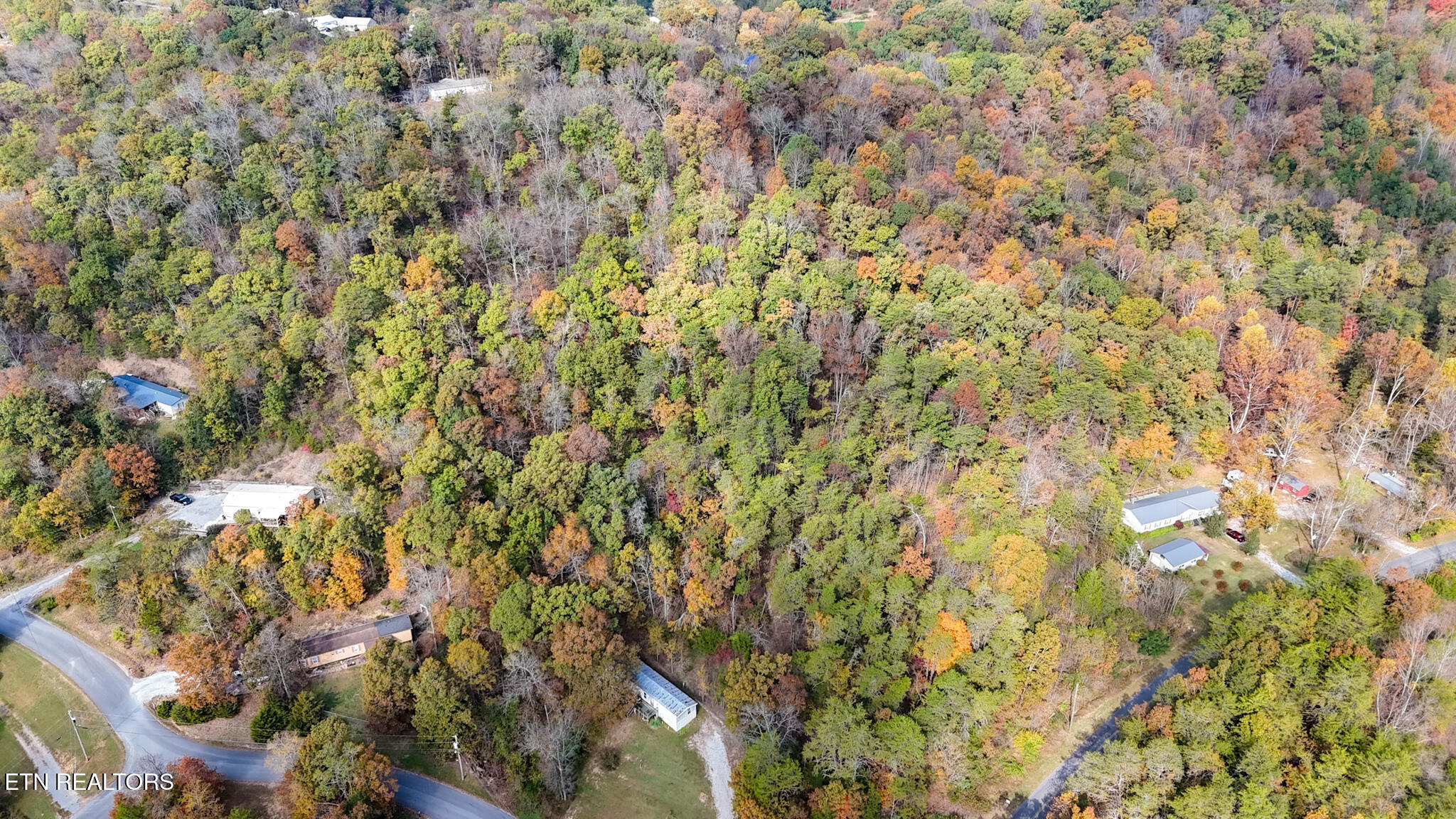 Lot 9 Reed Bull Road New Market, TN 37820 - Photo 21 of 28 dji_fly_20241028_114456_0133_17301350466