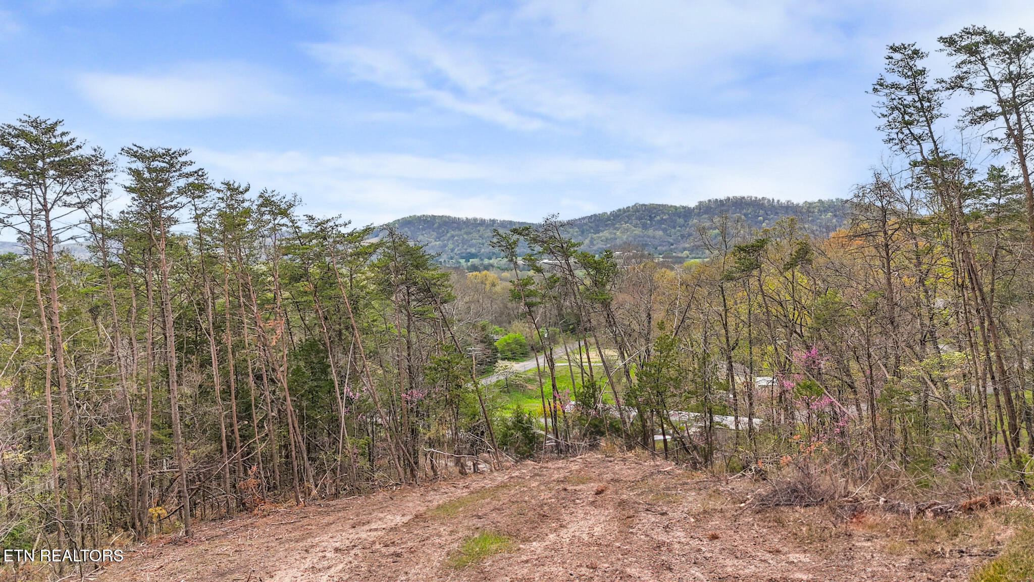 Lot 9 Reed Bull Road New Market, TN 37820 - Photo 3 of 28 dji_fly_20250403_105800_0176_17437021568