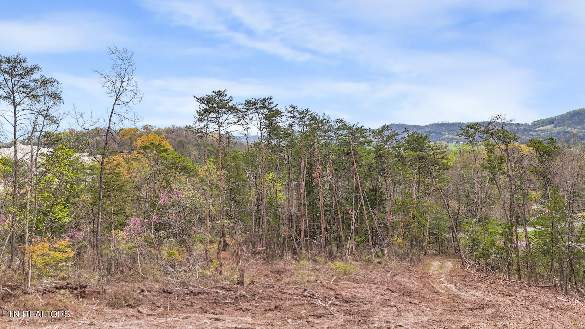 Lot 9 Reed Bull Road New Market, TN 37820 - Photo 4 of 28 dji_fly_20250403_105826_0178_17437021561