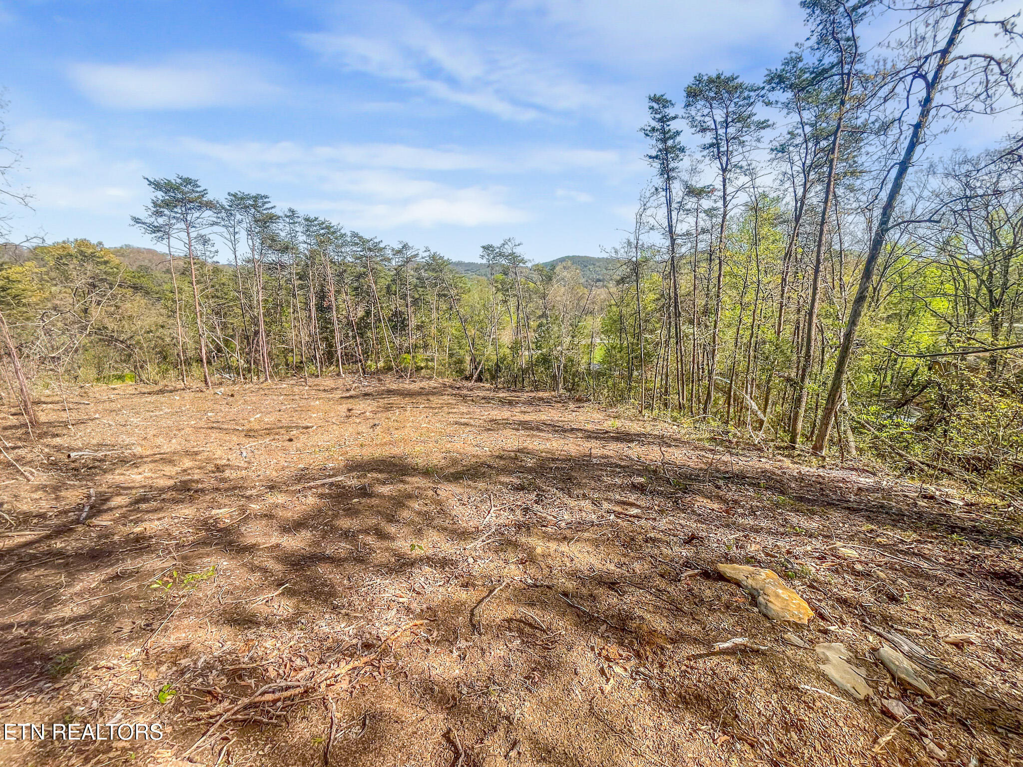 Lot 9 Reed Bull Road New Market, TN 37820 - Photo 5 of 28 IMG_4416